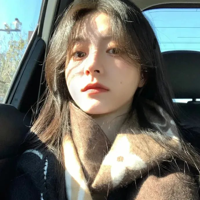 哥斯拉对美加洛